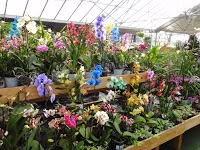 Lealans Garden Centre 1190984 Image 2